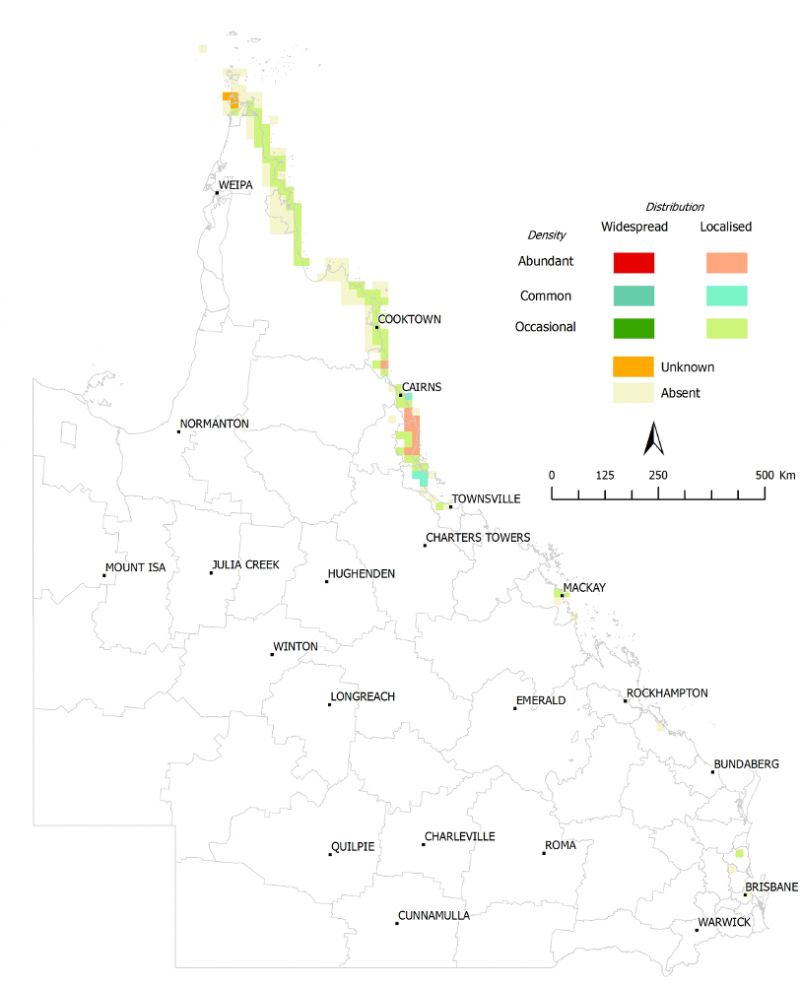 Distribution of pond apple (Annona glabra), 2011–2012