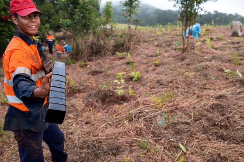 First Nations project participant, 19-year-old Uriah, at a revegetation site at Millaa Millaa, near the Atherton Tablelands. 
