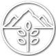 terrestrial ecosystems