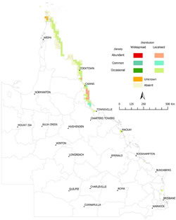 Distribution of pond apple (Annona glabra), 2011-2012