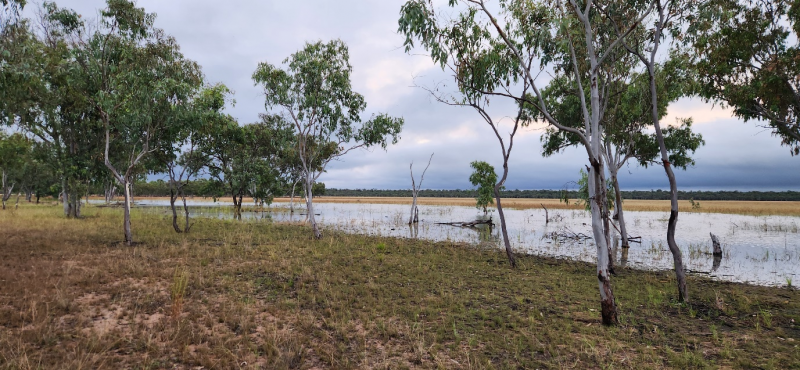 Lake Louisa.