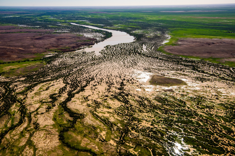 Diamantina catchments in the Lake Eyre Basin during a wet period of the hydrological cycle. 