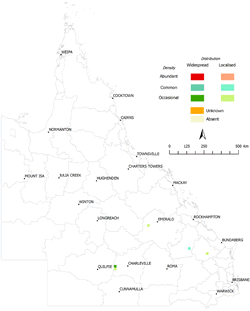 Distribution of Rusa deer (Cervus timorensis), 2013-2014