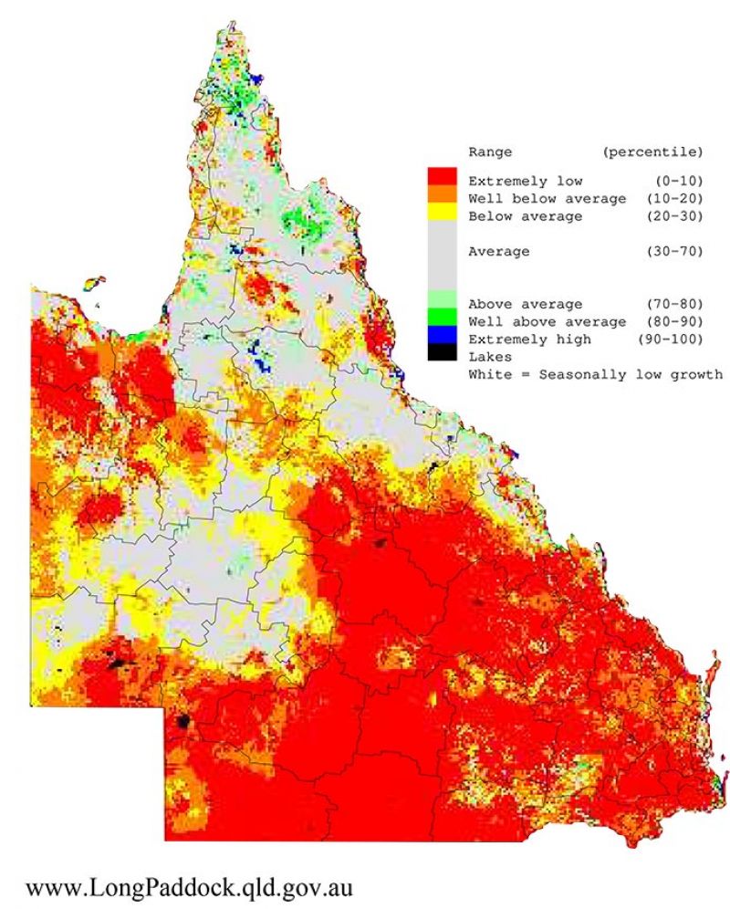 Maps show the last three 12-month periods (April-March) of rainfall and pasture growth for Queensland as percentiles (i.e. relative to history).