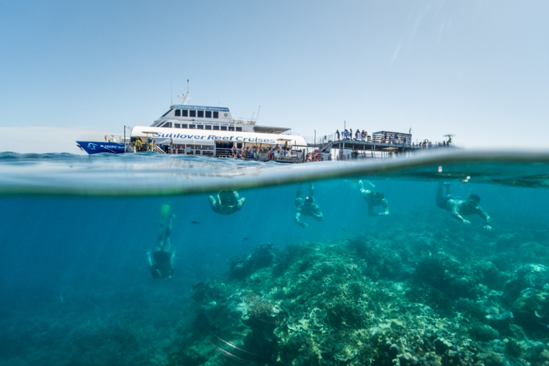 Five young people snorkel above coral in the Great Barrier Reef, with a pontoon and commercial reef tourism operator boat visible above the water. 