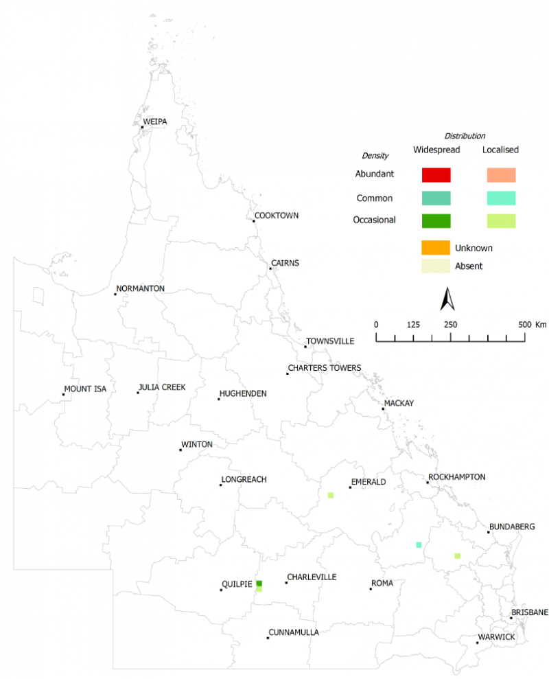 Figure 1 - Distribution of Hudson pear (Cylindropuntia rosea), 2013–2014