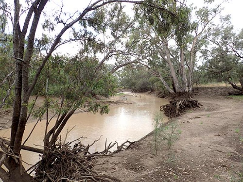 Lower Balonne River, Queensland