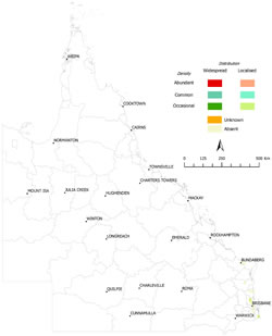 Distribution of red-eared slider turtle (Trachemys scripta elegans), 2011-2012