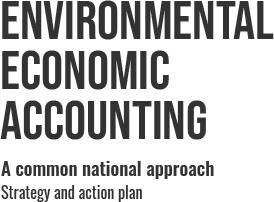 Environmental Economic Accounting Strategy and Action Plan Logo