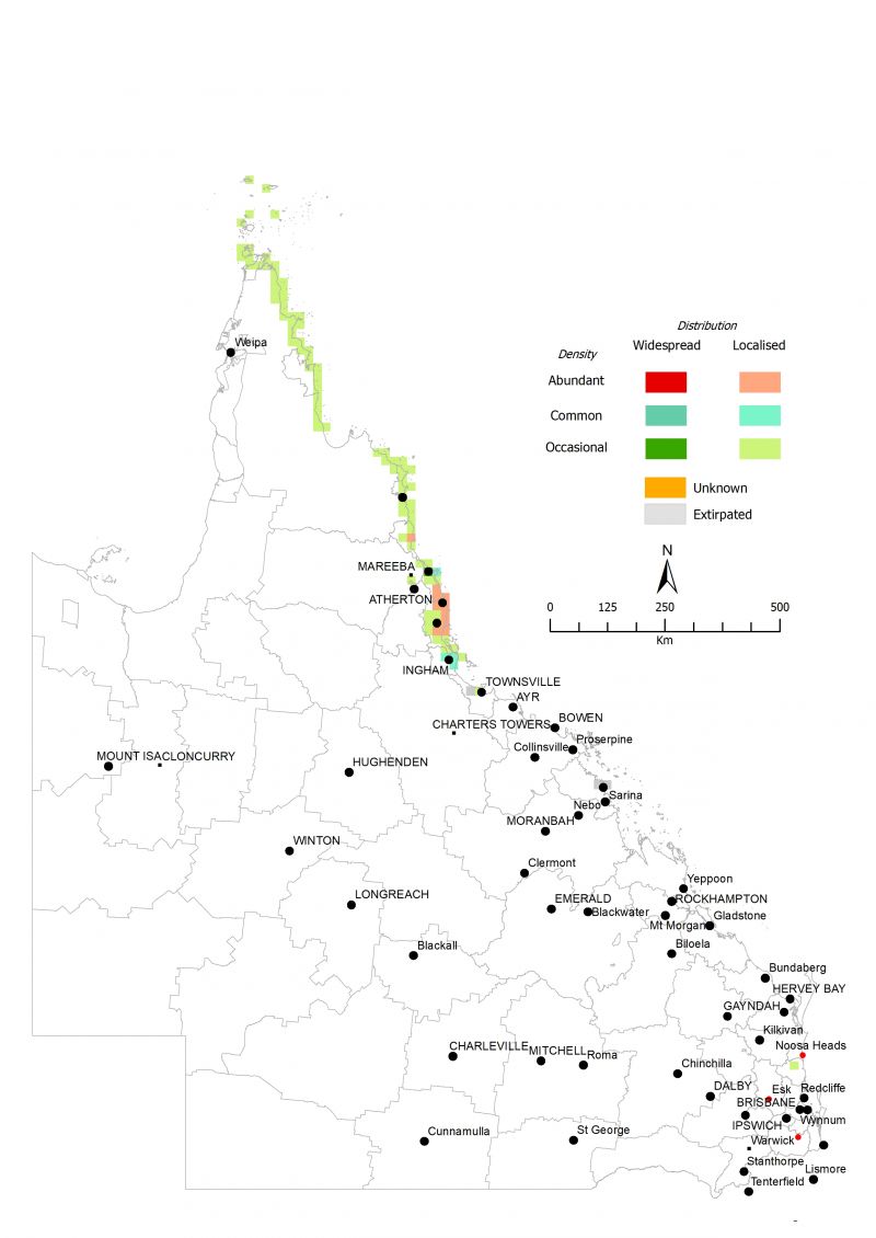 Figure 2. Distribution of pond apple (Annona glabra) in 2023 