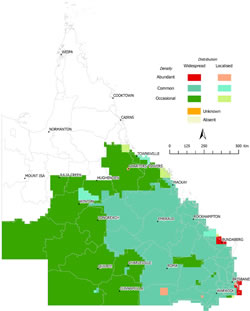 Distribution of fox (Vulpes vulpes), 2013-2014