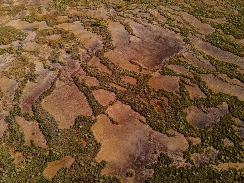 Aerial photography of Edgbaston Reserve.