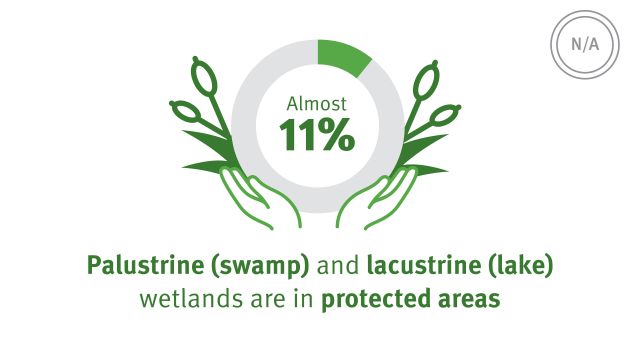 Almost 11%.  Palustrine (swamp) and lacustrine (lake) wetlands are in protected areas.